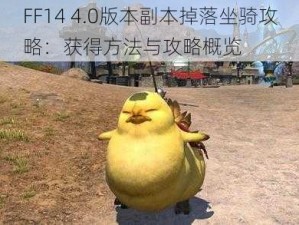 FF14 4.0版本副本掉落坐骑攻略：获得方法与攻略概览