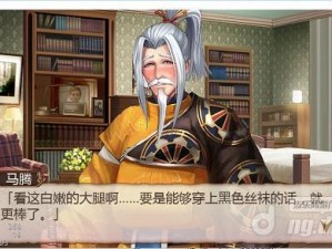 姬魔恋战纪博物馆深度游：道具攻略大全与藏品鉴赏