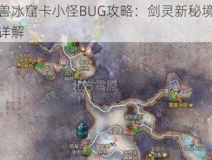 雪兽冰窟卡小怪BUG攻略：剑灵新秘境玩法详解