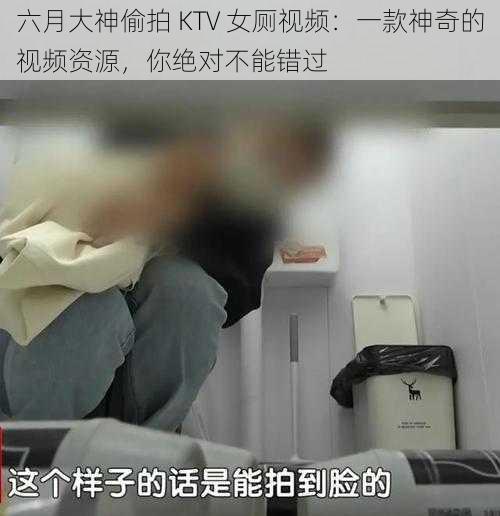 六月大神偷拍 KTV 女厕视频：一款神奇的视频资源，你绝对不能错过